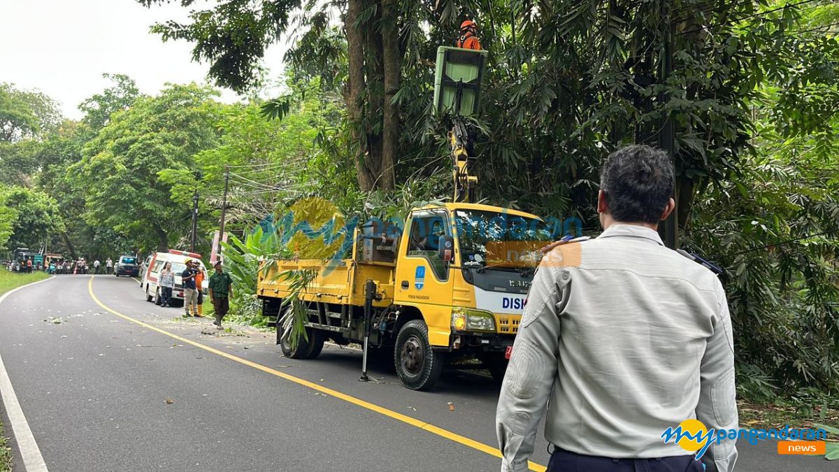 Antisipasi Cuaca Ekstrem, Dishub dan BPBD Pangandaran Lakukan Pemangkasan Pohon dan Perbaikan PJU di Emplak