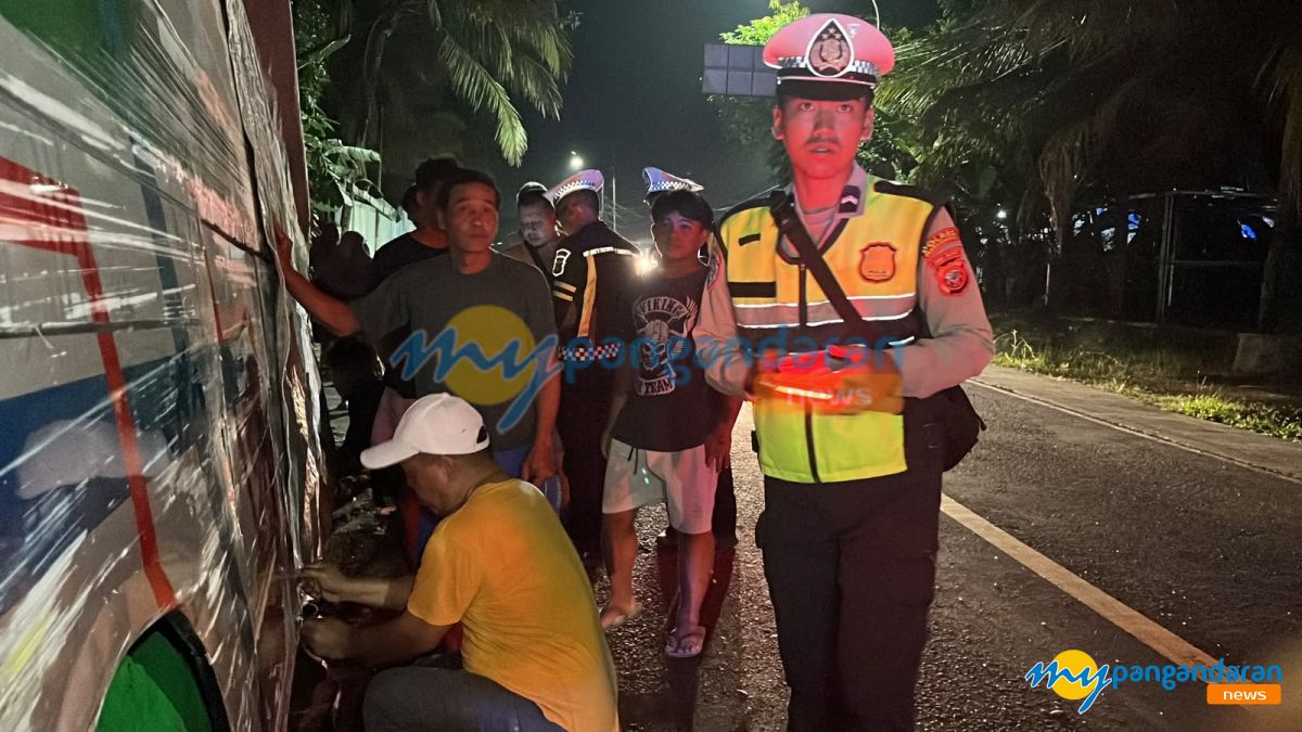 Bus Budiman Pangandaran-Yogyakarta Tabrak Pohon Usai Diserempet Truk, Tidak Ada Korban Jiwa
