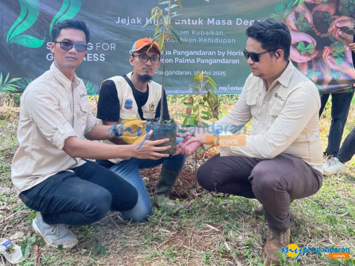 Kolaborasi Hotel Horison dan Petani, 100 Bibit Pohon Durian Ditanam di Lahan Konservasi Pangandaran