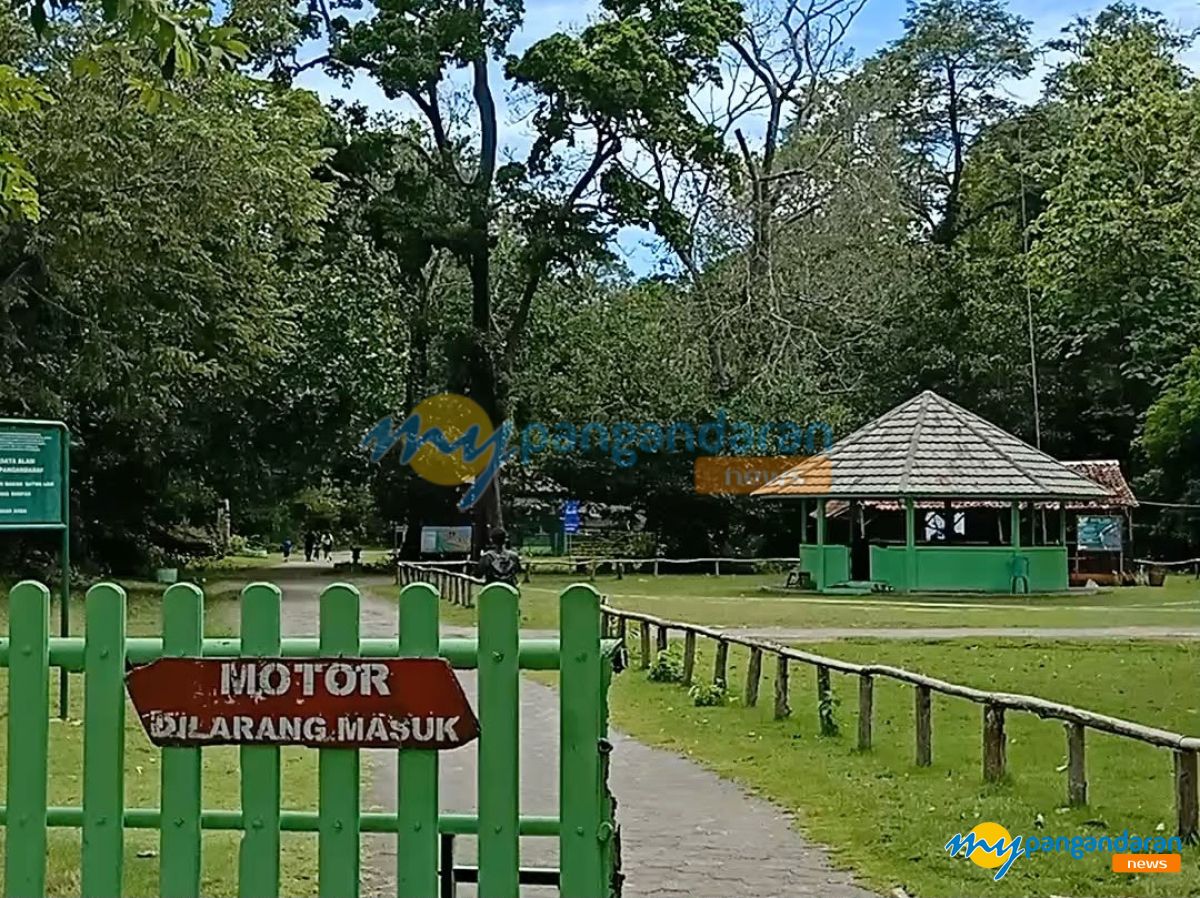 KSDA Pangandaran Ambil Alih Sementara Pengelolaan TWA, Tarif Tiket Kini Lebih Murah