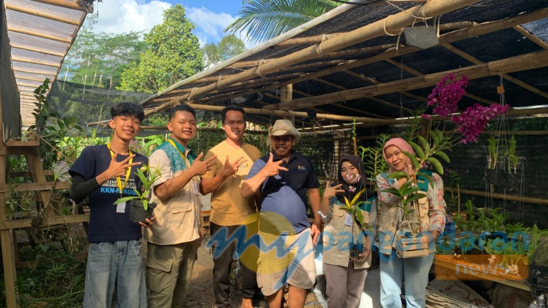 Mahasiswa KKN-PPM UGM Bantu Angkat Potensi Agrowisata Anggrek Terpendam di Banjarharja Kalipucang Pangandaran