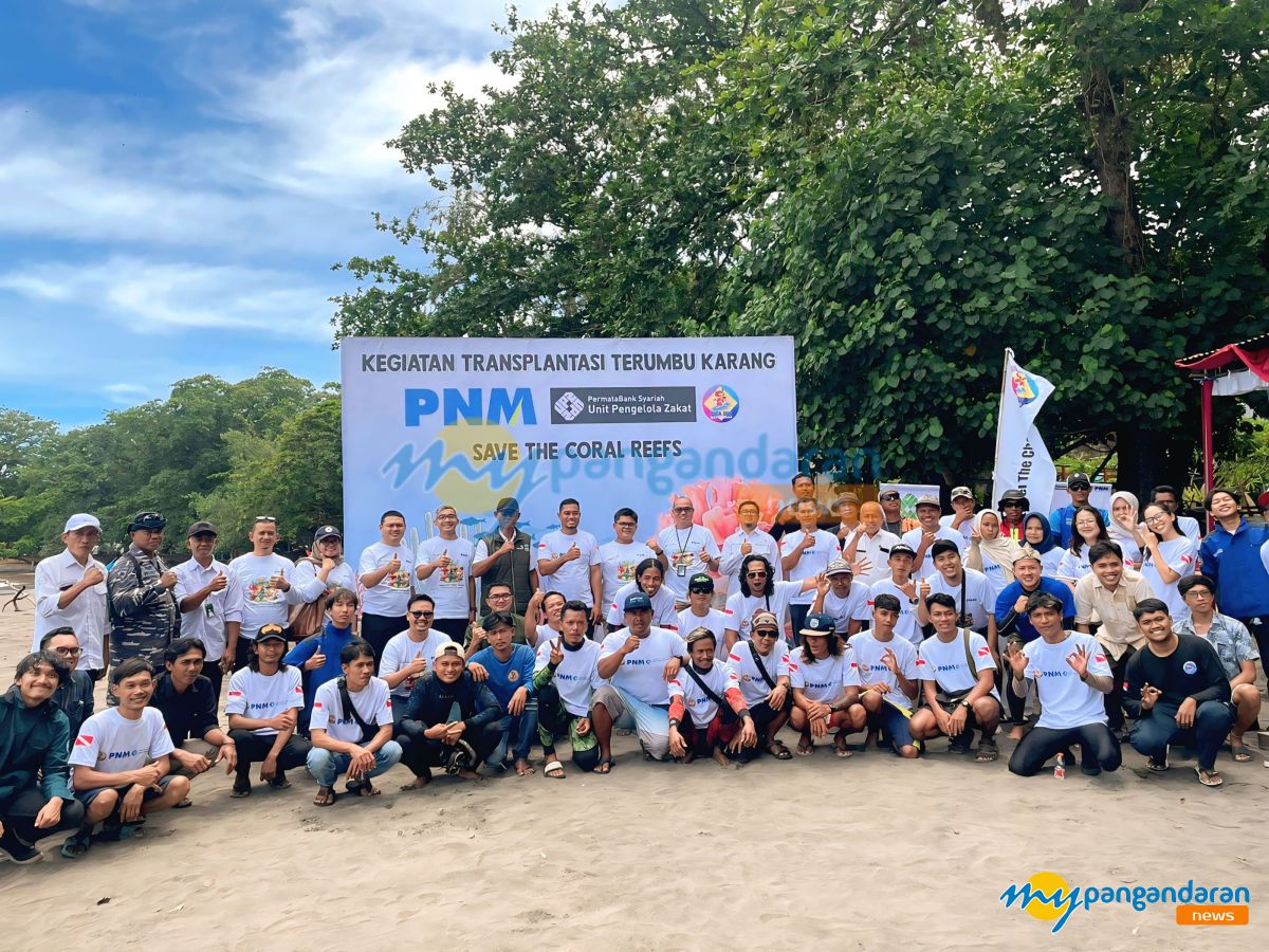 Aksi Selamatkan Laut, Seribu Bibit Karang Ditanam di Perairan Batukaras