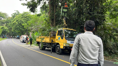 Antisipasi Cuaca Ekstrem, Dishub dan BPBD Pangandaran Lakukan Pemangkasan Pohon dan Perbaikan PJU di Emplak