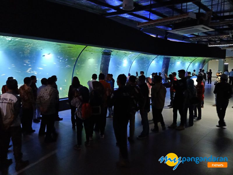 Aquarium Indonesia Pangandaran Berikut Harga Tiket Masuknya