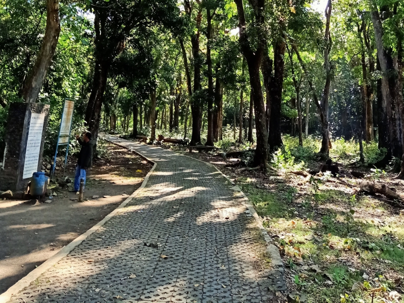 Cerita Sepasang Kekasih Kaselong di Cagar Alam Pangandaran 