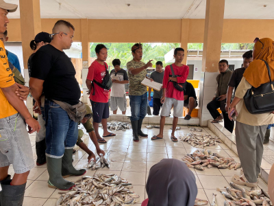 Geliat Ekonomi Nelayan Pangandaran Mulai Bangkit Usai Paceklik Panjang