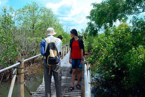 Geliat Wisata Edukasi Mangrove Bulaksetra