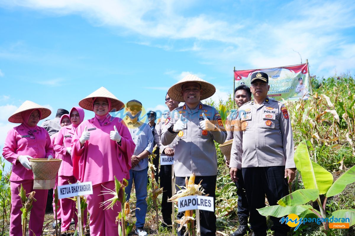Gerakan “Keroyok Bareng” Polda Jabar Sukses Tanam 9 Ribu Hektare Jagung