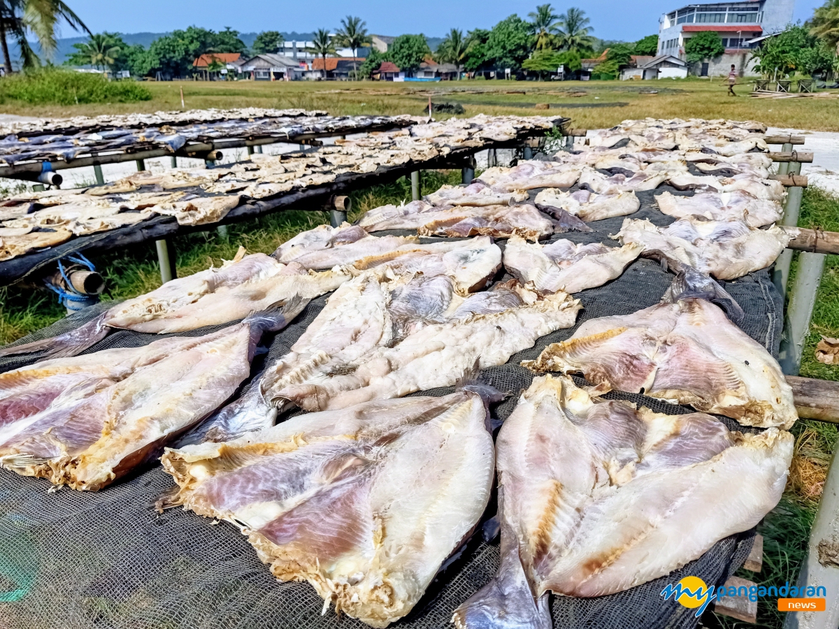 Jelang Tahun Baru 2025, Harga Jambal Roti Pangandaran Stabil 