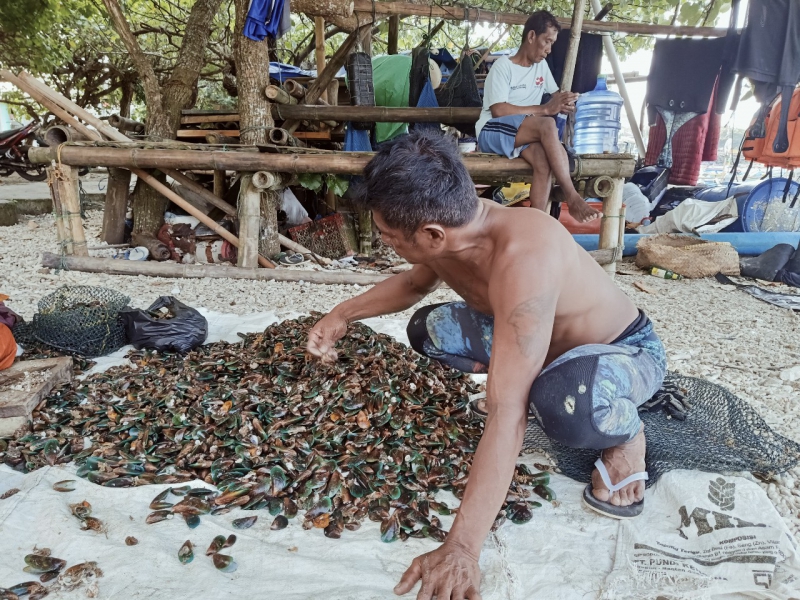 Kisah Penyelam Kerang Hijau, Keberanian dan Keahlian di Laut Pangandaran