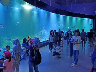 Libur Isra Miraj 1446 H, Wisatawan Ramai Kunjungi Aquarium Indonesia Pangandaran