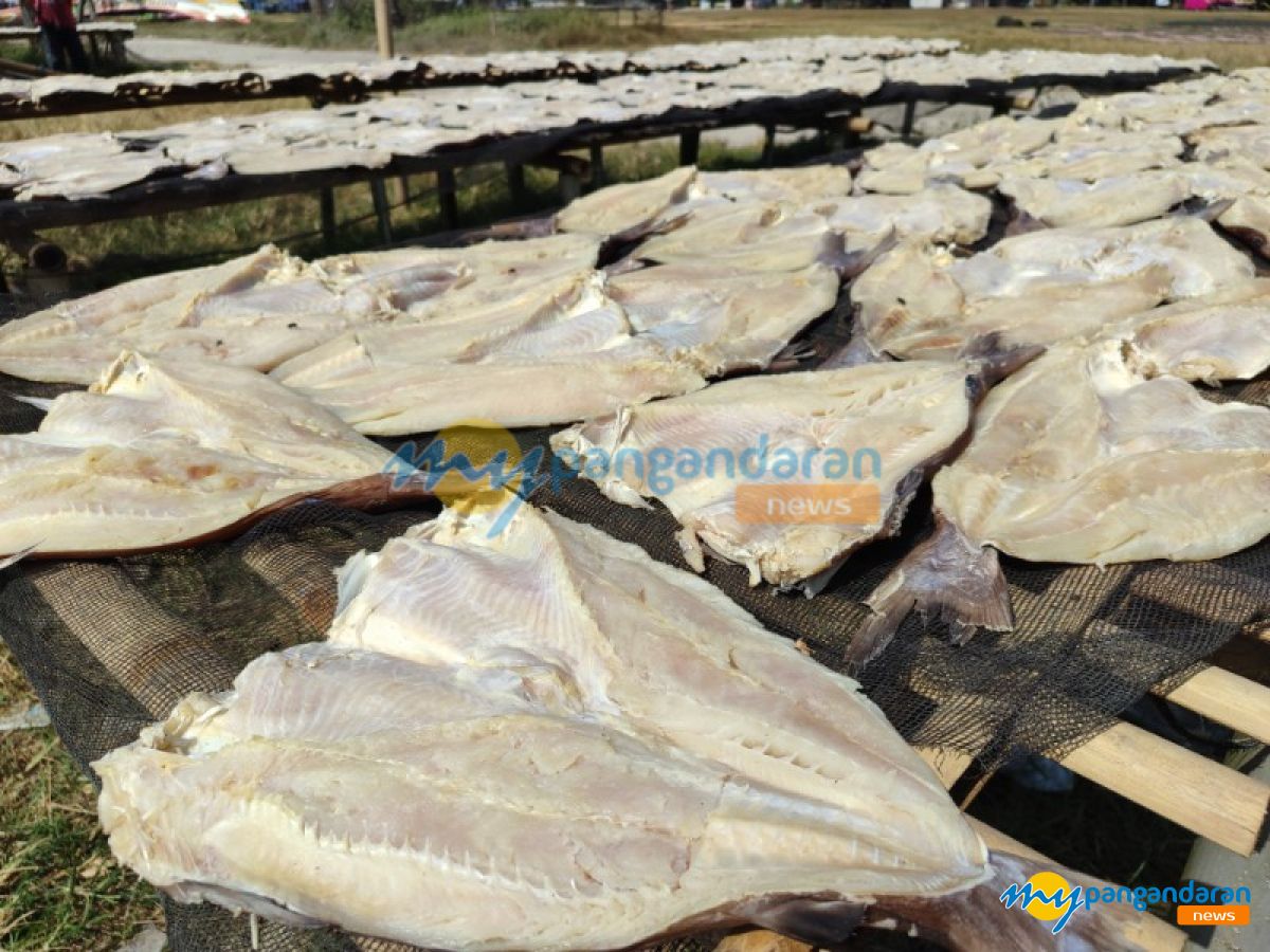 Libur Sekolah Permintaan Jambal Roti Meroket, Pengusaha Pangandaran Keluhkan Kelangkaan Ikan Kadukang