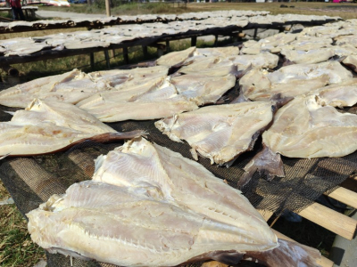Libur Sekolah Permintaan Jambal Roti Meroket, Pengusaha Pangandaran Keluhkan Kelangkaan Ikan Kadukang