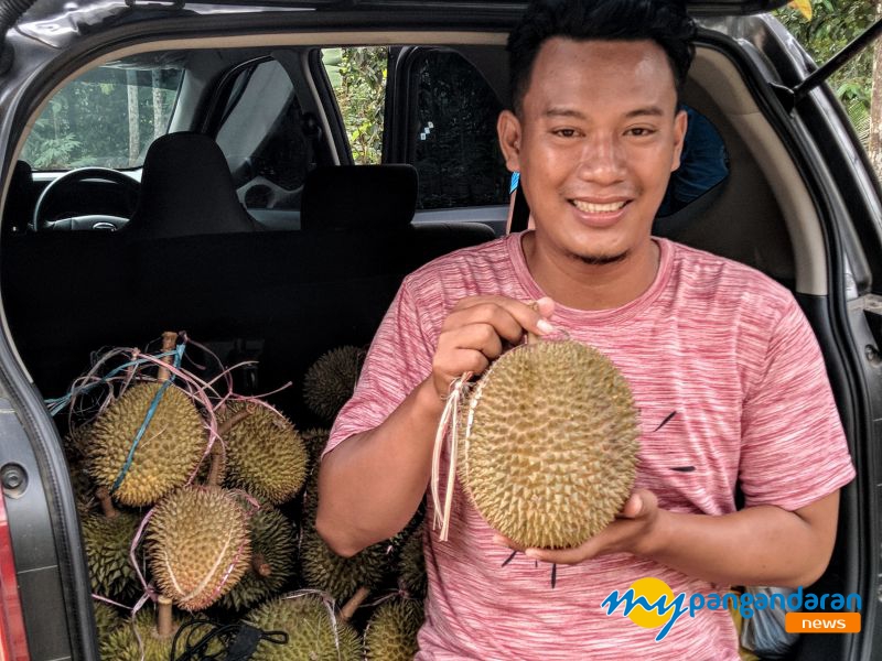 Menikmati Manis dan Legitnya Durian Asli Pangandaran