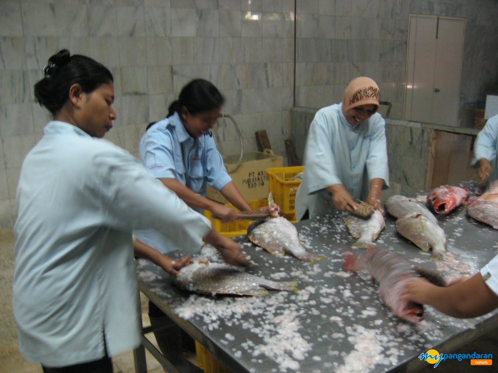 Menteri Susi di Mata Nelayan dan Pedagang Ikan Pangandaran