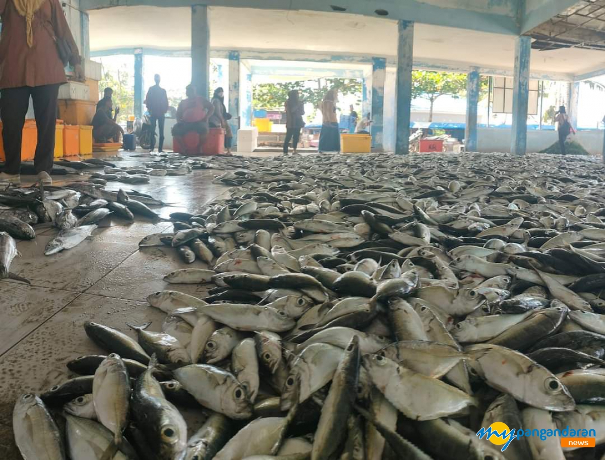 Nelayan Bojong Salawe Pangandaran Panen Ikan