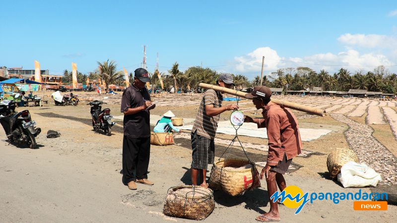 Nelayan di Pangandaran Panen Udang Rebon