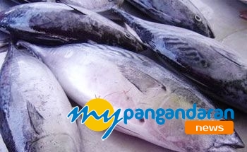 Nelayan Pangandaran Libur Melaut, Harga Ikan di Bandung Naik