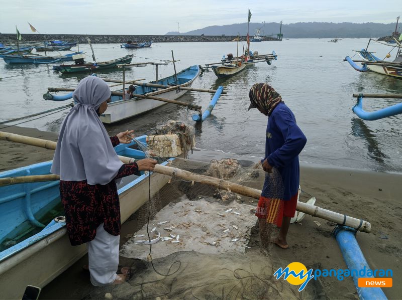 Ngaberenong, Cara Nelayan Pangandaran Menangkap Udang Jambu