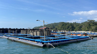 Kisruh Keramba Jaring Apung di Pantai Timur Pangandaran, Ketua DPRD Soroti Tumpang Tindih Tata Ruang
