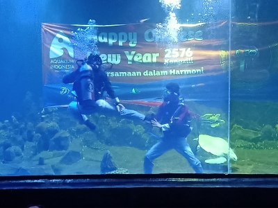 Pertunjukan Kungfu Dalam Air Meriahkan Perayaan Imlek 2025 di Aquarium Indonesia Pangandaran