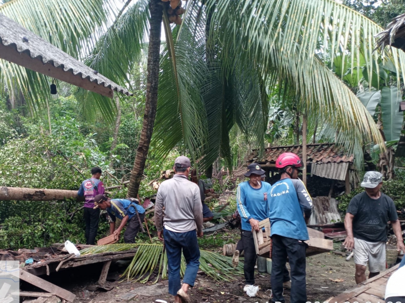 Pohon Tumbang Menimpa Rumah di Kertayasa - Pangandaran