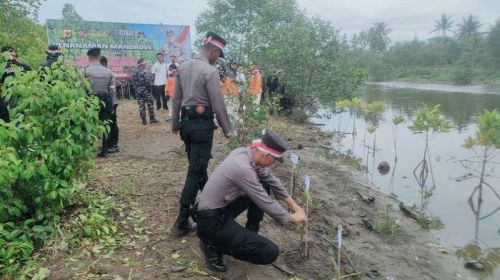Polres Pangandaran Laksanakan Penanaman Pohon Bibit Mangrove, Kapolres Katakan Iklim Sudah Tidak Baik-baik Saja
