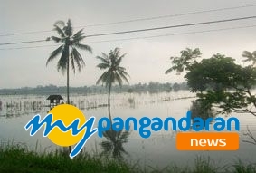 Ratusan Hektar Sawah Terendam Banjir 