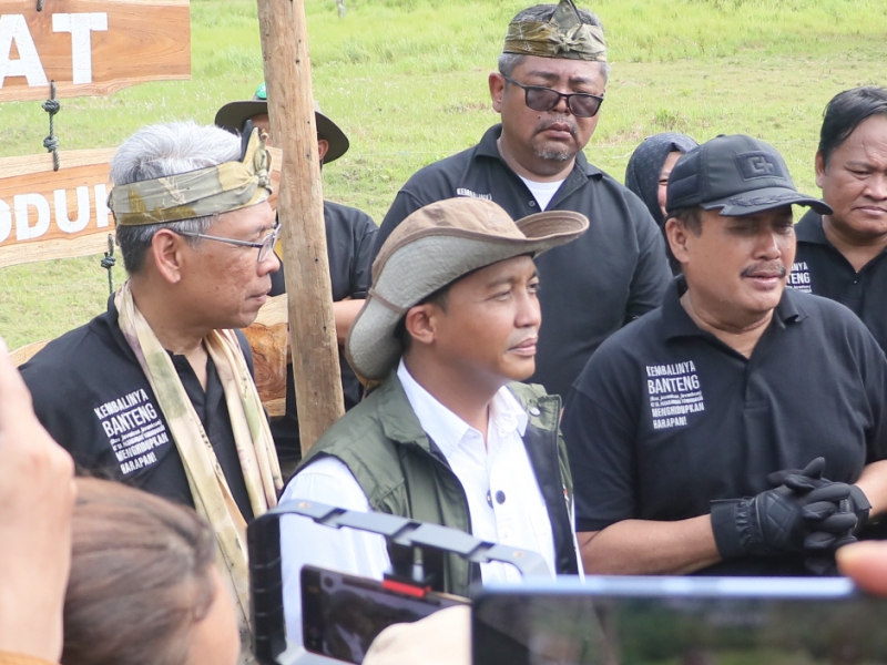 Reintroduksi Banteng Jawa di Pangandaran, Ini Pesan Menhut Raja Juli Antoni 