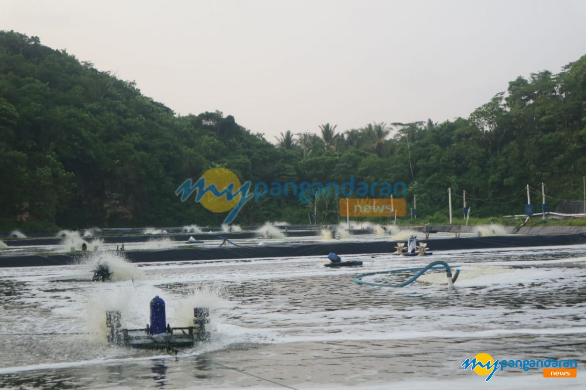Satpol PP Pangandaran Tegas, Tambak Udang Tak Berizin Terancam Ditutup Sementara