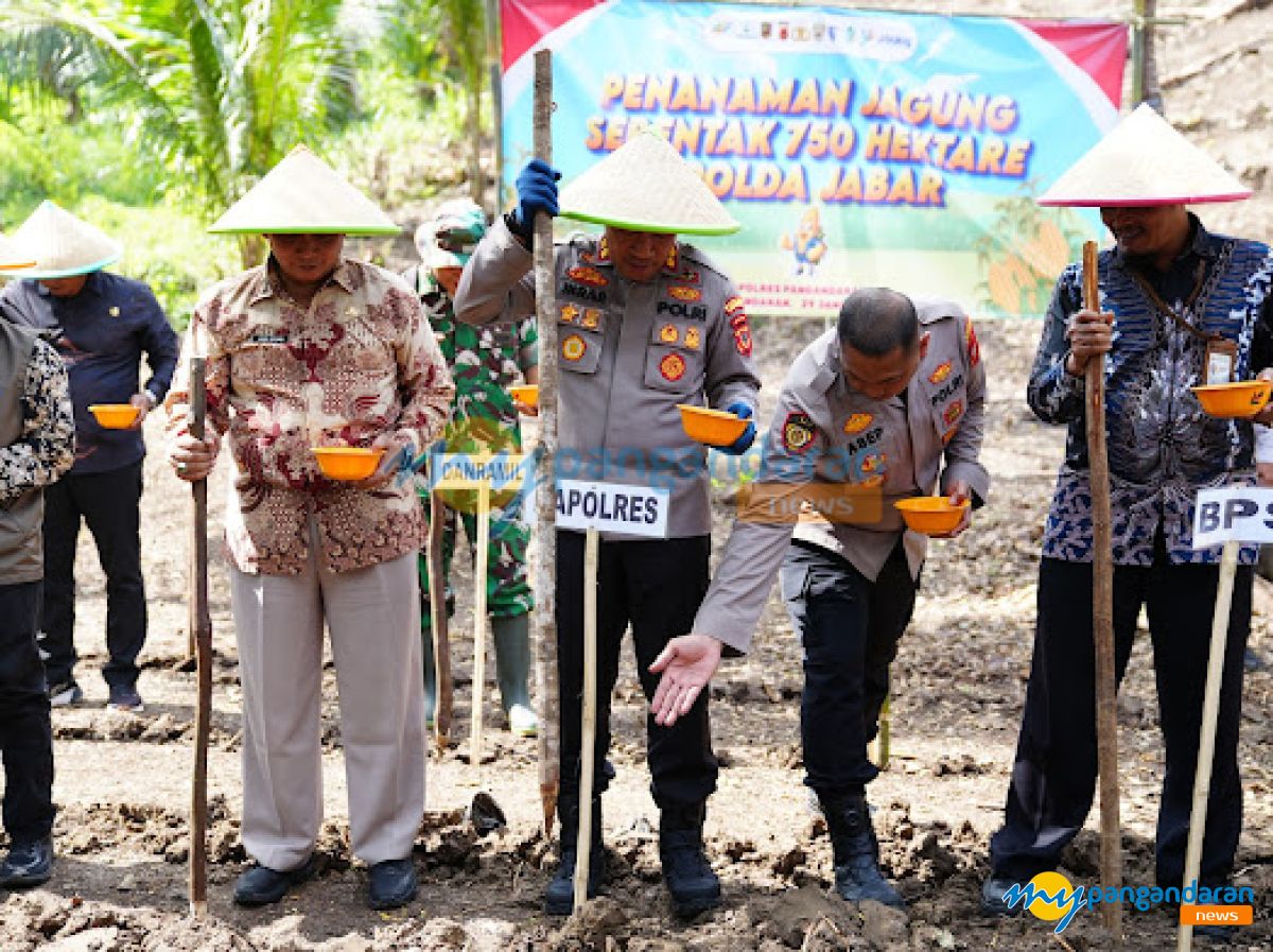 Seragam Bukan Halangan, Polisi Pangandaran Tanam Jagung untuk Ketahanan Pangan