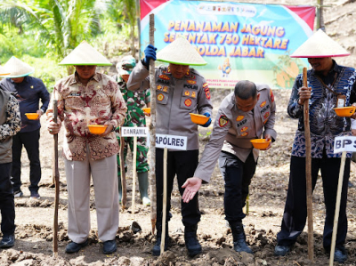 Seragam Bukan Halangan, Polisi Pangandaran Tanam Jagung untuk Ketahanan Pangan