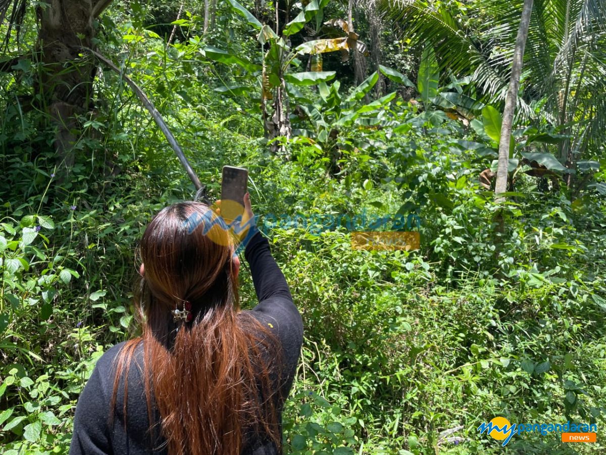 Sinyal Sulit, Warga Munggang Gondang Pangandaran Rela Naik Bukit Demi Internetan