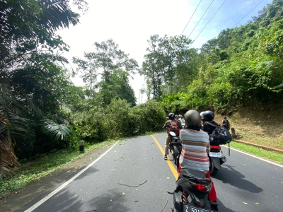 Sudah Kondusif, Satlantas Polres Pangandaran Atur Lalin Akibat Pohon Tumbang di Blok Emplak Pangandaran