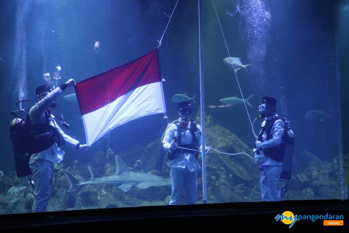 Unik! Upacara Bendera Bawah Air di Aquarium Indonesia Pangandaran Peringati HUT RI ke-79