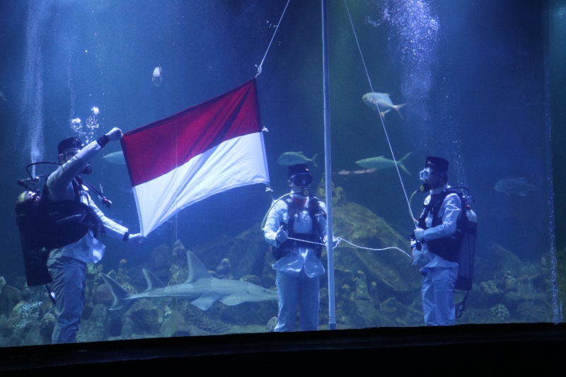 Unik! Upacara Bendera Bawah Air di Aquarium Indonesia Pangandaran Peringati HUT RI ke-79