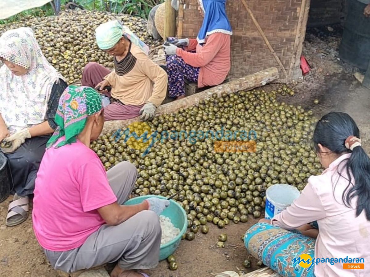 Kisah Tumini, Buruh Kolang-kaling di Pangandaran Raih Berkah Ramadan 1446 H